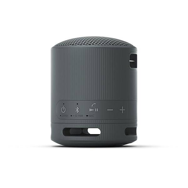 SONY SRS-XB100 WIRELESS BLUETOOTH PORTABLE LIGHTWEIGHT SUPER-COMPACT TRAVEL SPEAKER, DURABLE IP67 WATERPROOF & DUSTPROOF SHOWER SPEAKER, 16 HOUR BATTERY, VERSATILE STRAP, & HANDS-FREE CALLING, BLACK