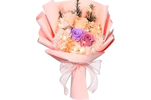 Canlierr Preserved Flowers Bouquet Flowers Bouquet Graduation Gift Natural Real Roses Bouquet Gifts for Graduation Birthday Anniversary Wedding Teacher'day Home Decor(Light Pink)