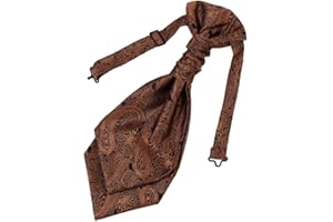 Epoint Cravat Necktie For Party Silk Pretied Ascot Cravat Tie 12 Inch Clip-On Adjustable