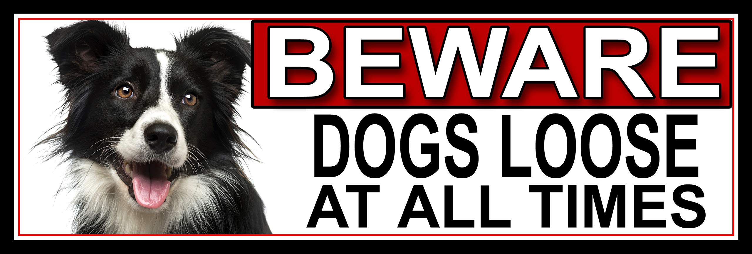 SHAWPRINT Border Collie BEWARE DOGS LOOSE AT ALL TIMES METAL GATE SIGN 266mm x 87mm. (370H2)