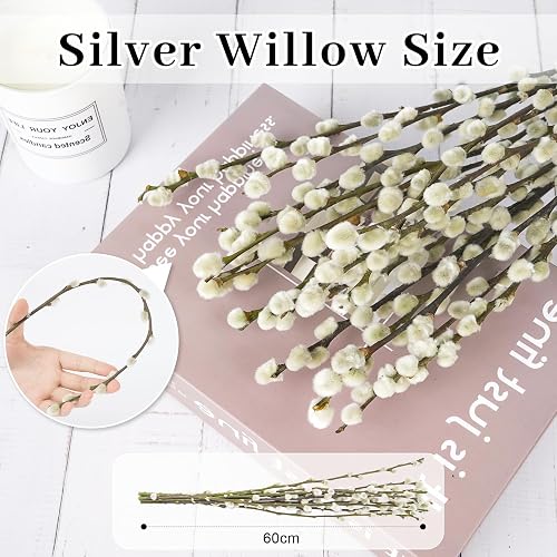 Koceko 45 Stems Real Dried Pussy Willow Branches – 17-Inch Natural White Decor For Vases