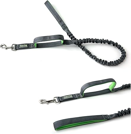 Stretchy dog lead Clearance