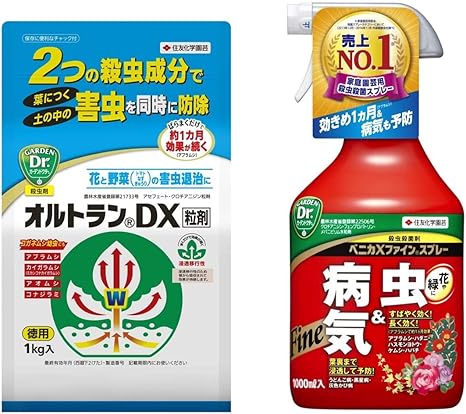 Amazon セット買い 住友化学園芸 殺虫剤 オルトランdx粒剤 1kg 殺虫殺菌剤 ベニカxファインスプレー 1000ml Diy 工具 ガーデン Amazon セット買い 住友化学園芸 殺虫剤 オルトランdx粒剤 1kg 殺虫殺菌剤 ベニカxファインスプレー 1000ml Diy 工具 ガーデン