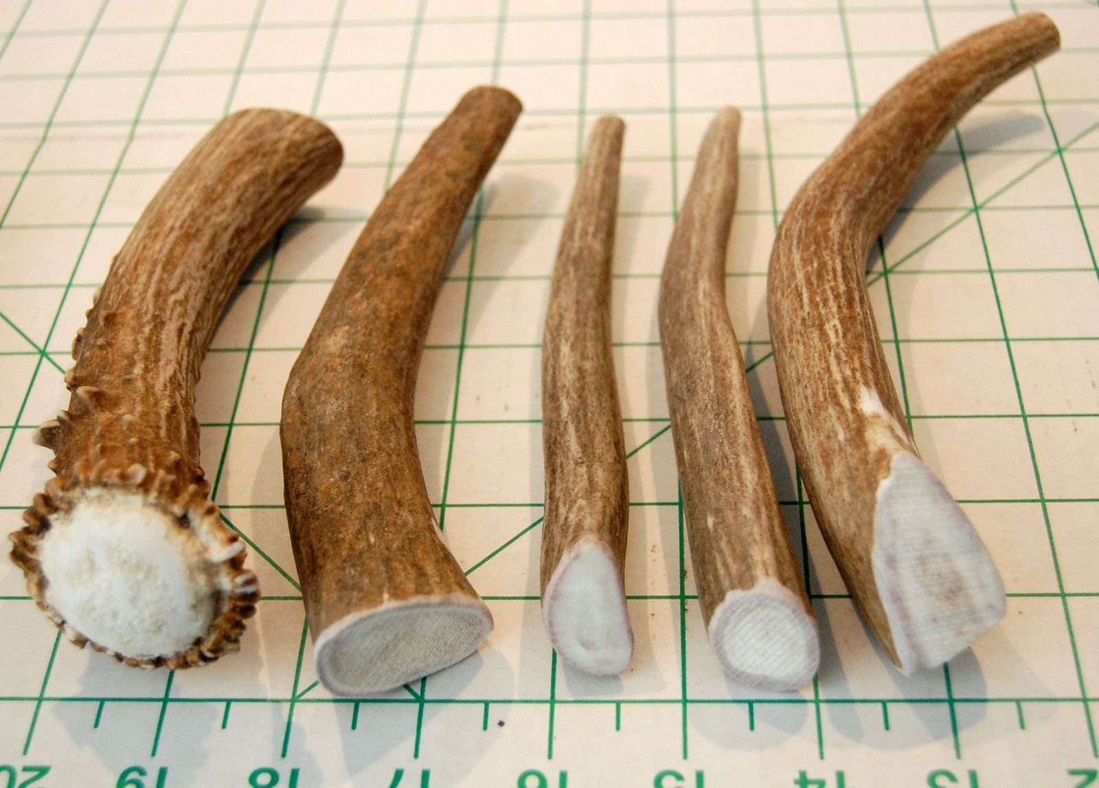Premium Deer Antler Pieces by Big Dog Antler Chews Antlers by the