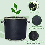 Growerz 20L Fabric Grow Pot - Durable Non-Woven PET Plant Container view 3