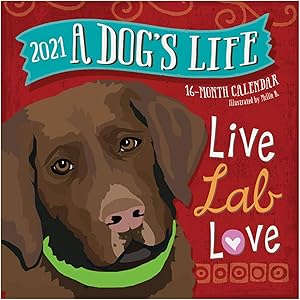 B-THERE 16 Month Premium Wall Calendar 2021 Each Month Displays Full-Color Photograph. Printed on Linen Embossed Heavyweight Paper Stock (A Dogs Life)