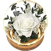 Regalo Flor Preserved Roses & Preserved Flowers Gift for Women, Roses That Last Forever, Flowers for Delivery Prime, White Roses – Birthday, Mother’s Day &Valentine