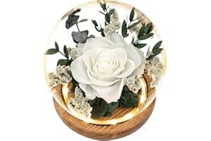 REGALO FLOR Preserved Flowers Bouquets Forever Roses Gifts, Long-Lasting Roses Flowers for Delivery Prime, Forever Flowers with LED Lights (Battery Included), Birthday Gift, Mothers Day, Christmas