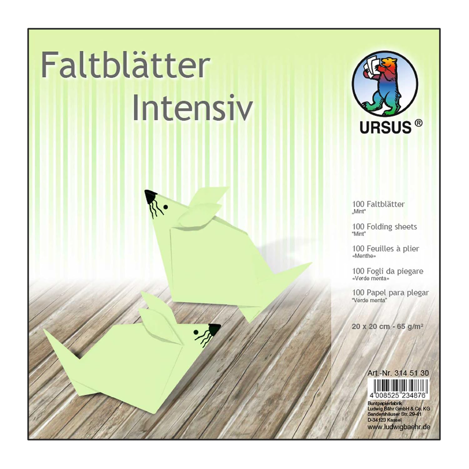 Ursus 3145130 Plain Folding, 100 Sheets, 65 g/m², 20 x 20 cm, for Small and Large Origami Artists, Dyed in Intense Colours, Mint