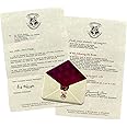 Harry Potter – Hogwarts Acceptance Letter – 3.5” x 3.5” Functional Resin Envelope Magnet with 5” x 8” Letter from Professor McGonagall | Officially Licensed Merchandise