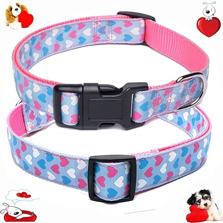 valentines day dog collars