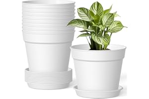 SWINDUCK 10 Pack 6 Inch Plant Pots with Drainage and Saucers, White Plastic Flower Pots for Indoor and Outdoor Plants, Stackable Nursery Planters for Houseplants and Herbs, White