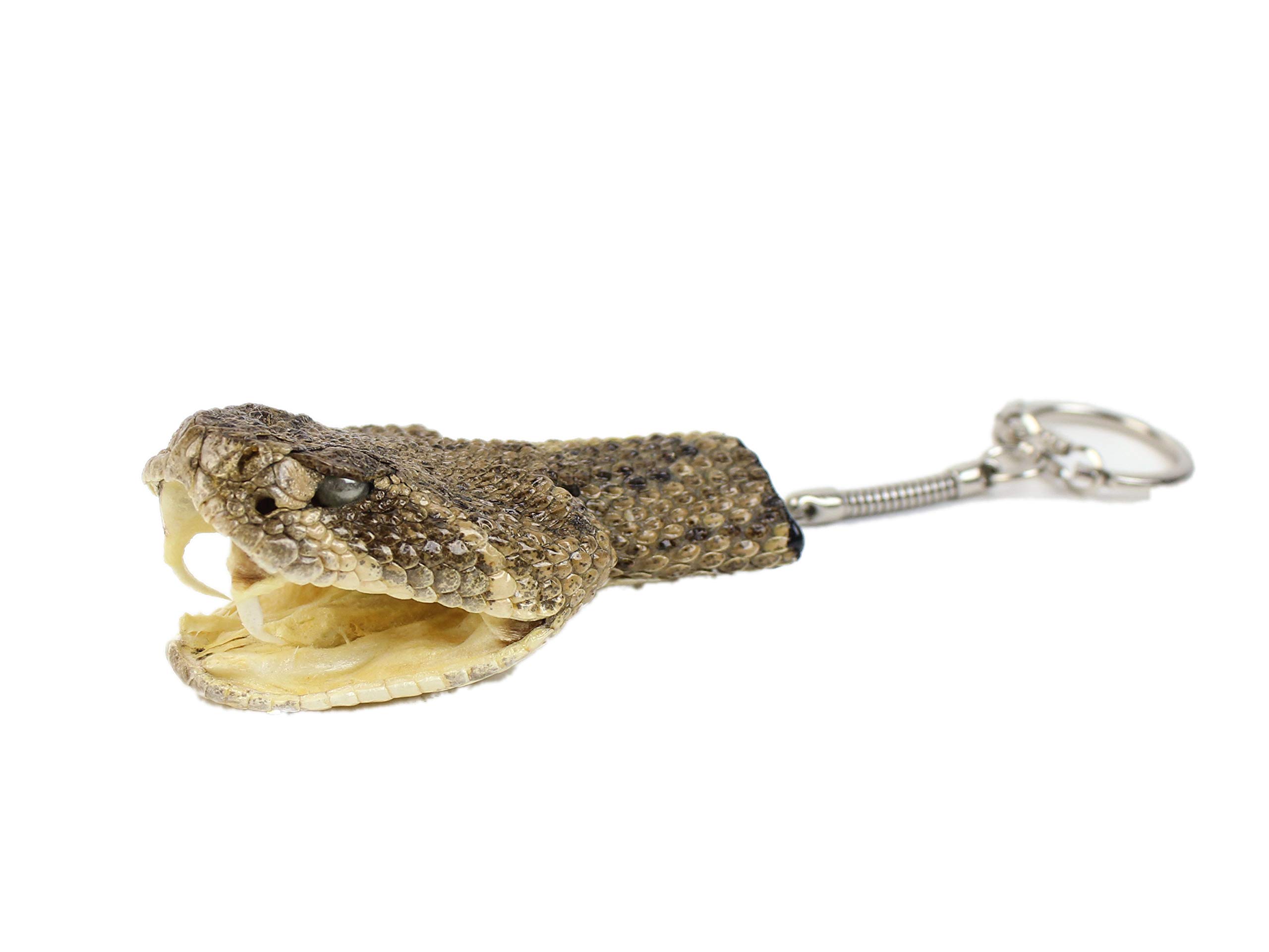 Chichester Inc Rattlesnake Head Keychain: Partially Open Mouth (42-30) N7