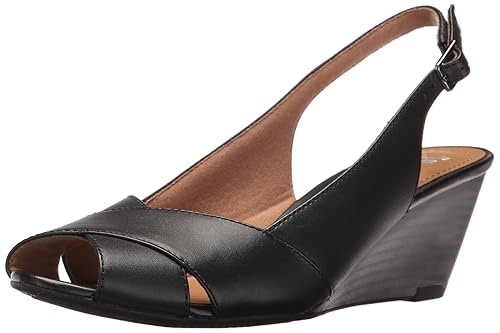 clarks wedge pump