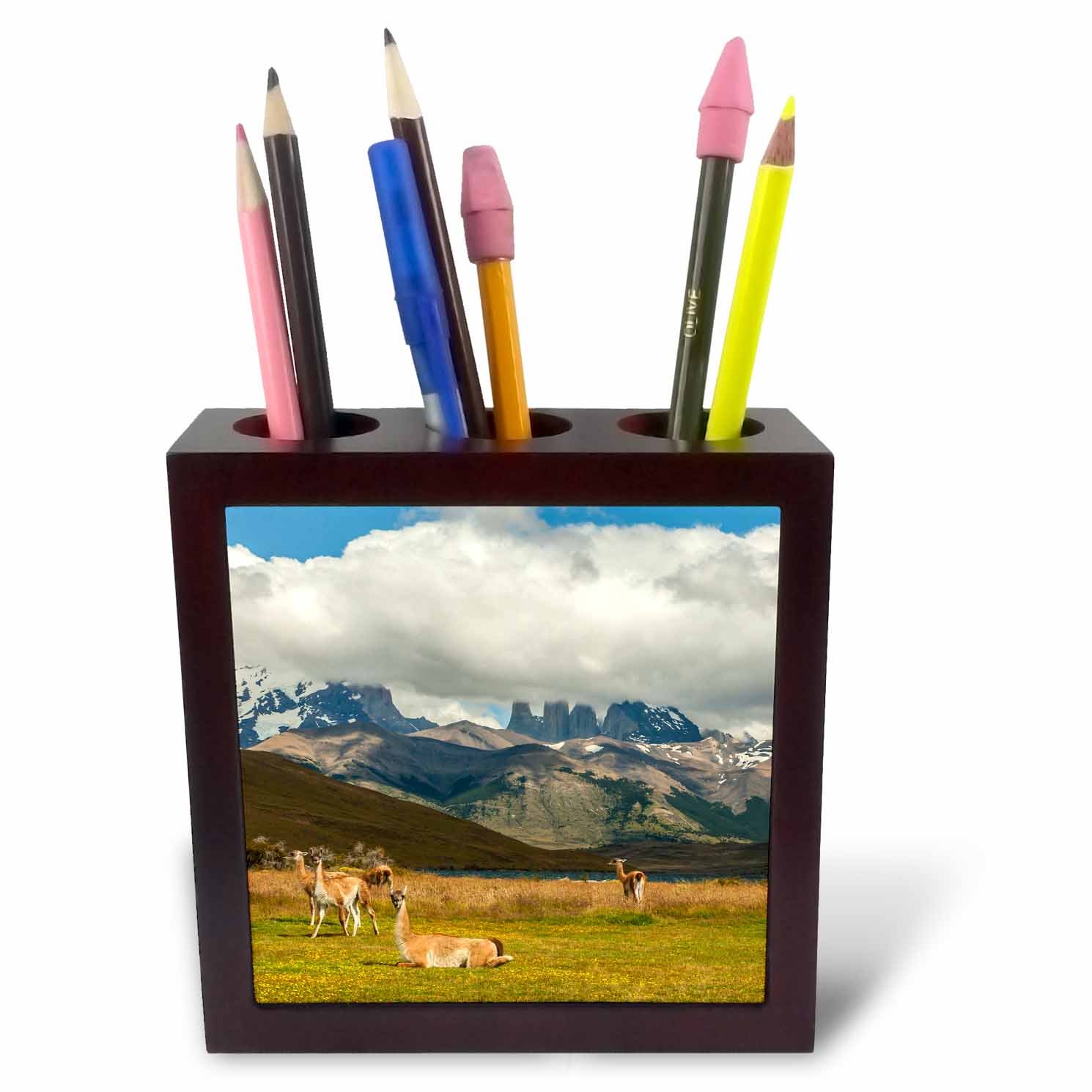 3dRose ph_228695_1 5-Inch "Chile/Patagonia/Torres Del Paine Np. Mountains and Guanacos" Tile Pen Holder