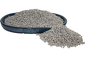 Bonsai Tree Food 180 Days Slower Release Fertilizer, Made in Japan (150 Grams)