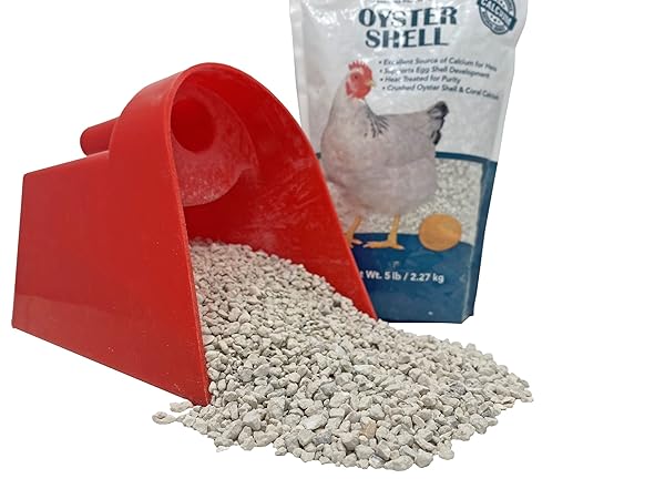 PECKING ORDER OYSTER SHELL – CALCIUM SUPPLEMENT TO SUPPORT LAYING HENS AND STRONG EGG SHELL DEVELOPMENT (5 LB) 8 (PACKAGING MAY VARY)