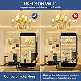 Caldarax 12 Pack G9 Halogen Bulbs 28W 2700K Dimmable 230V 320LM view 7