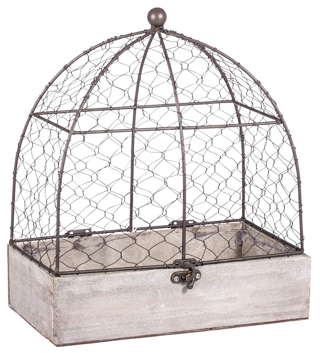 Rayher 46347000 Decorative Aviary Vintage Bird Cage For Wedding Crafts And Home Decoration 25x14x29cm Buy Online In Aruba Rayher Products In Aruba See Prices Reviews And Free Delivery Over 120 Æ Desertcart