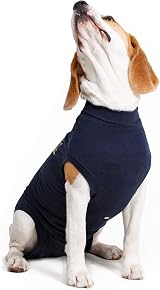 MPS Medical Pet Shirt Dog XXX-Small Blue Surgery Recovery Suit view 2