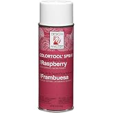 Design Master 766 Raspberry Colortool Spray