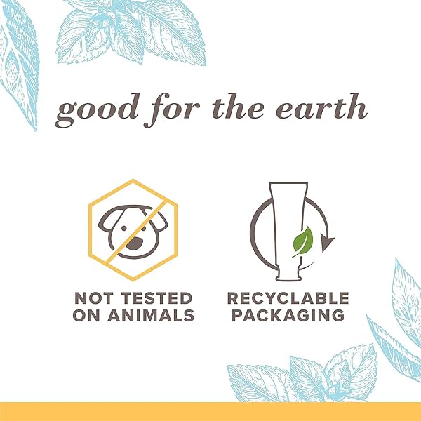 BURT’S BEES EXTRA WHITE TOOTHPASTE, FLUORIDE TOOTHPASTE, NATURAL FLAVOR, MOUNTAIN MINT, 4.7 OZ, PACK OF 3
