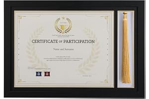 Lavezee 15.2x10.6 Diploma Frame With Tassel Holder, Display 8.5 x 11 Certificate Document Degree and One Tassel,Black with Gold Rim