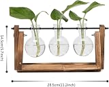 Hyindoor Propagation Station with Vintage Wooden Stand and Glass Vases view 2