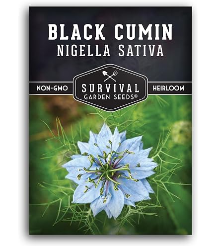 Amazon.com : Peppercorns (Black Pepper) Seeds (20+ Seeds) | Non GMO |  Vegetable Fruit Herb Flower Seeds for Planting | Home Garden Greenhouse  Pack : Patio, Lawn & Garden