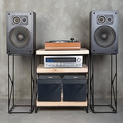 Vinyl Record Storage Box for 12-inch Records Crate