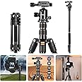 GWNNSH Camera Lightweight Travel Tripod, 58” Detachable Monopod, Aluminum Ball Head Stand 3 X Control Knobs with Calibration, DSLR QR Plate, Level Indicator, Flip Lock Design. Dare to Compare