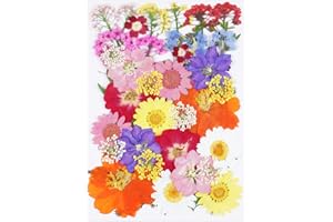 40Pcs Dried Pressed Flowers for Crafts,Xinxinran Dry Flowers Kit for Resin Molds,Epoxy Resin Accessories,Bookmark,Nails, Jewelry Molds,Candle Making Supplies,Soap,Frame,Cakes(Colorful)