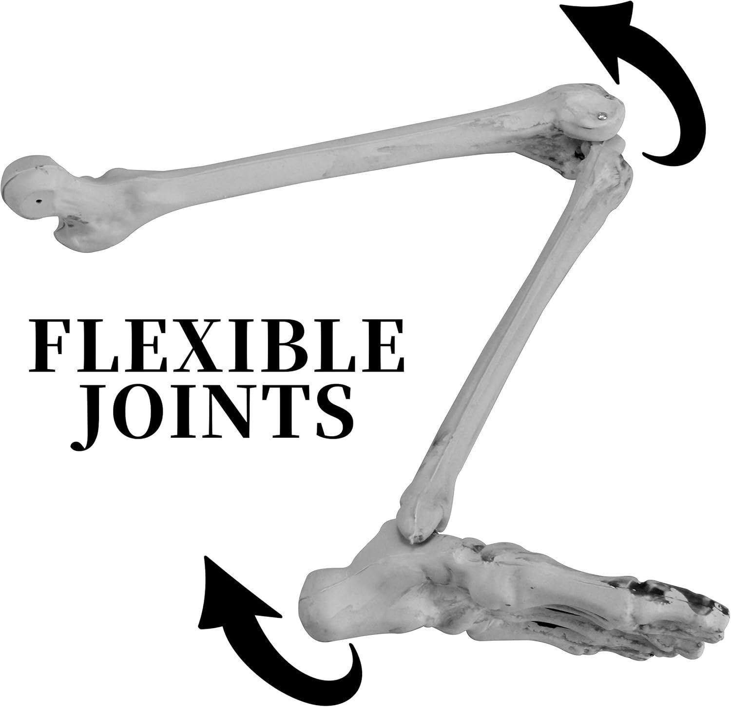 JOYIN Life Size Groundbreaker Skeleton Stakes for Halloween Yard Decorations: Garden & Outdoor