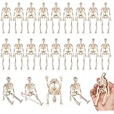 MUXIUNT 24 Pcs mini skeleton halloween decoration With hemp rope，6”small plastic posable halloween tiny skeleton figurines decor for Halloween Indoor Outdoor Graveyard Decor Haunted House Party Favors