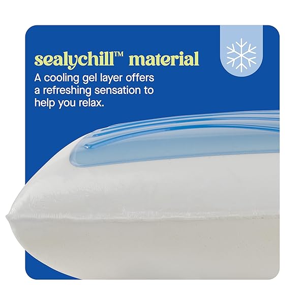 SEALY DREAMLIFE STANDARD SIZE MEMORY FOAM COOLING PILLOW WITH SEALYCHILL COOLING GEL, REMOVABLE MACHINE-WASHABLE COVER, MADE IN THE USA
