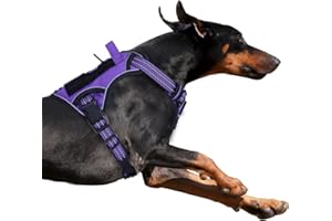 BUMBIN Tactical Dog Harness for Large Dogs No Pull, Famous TIK Tok No Pull Puppy Harness, Fit Smart Reflective Pet Walking Harness for Training, Adjustable Dog Vest Harness with Handle Purple L