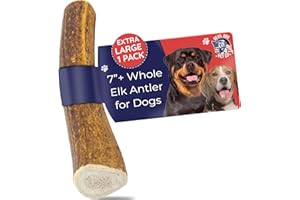 Devil Dog Pet Co. Elk Antlers for Dogs, 1 Pack, Extra Large 7”+ – Grade A Long Lasting Dog Bones for Aggressive Chewers, Premium USA Naturally Shed Antler Dog Chew – Healthy, No Odor, Dog Antler Chews
