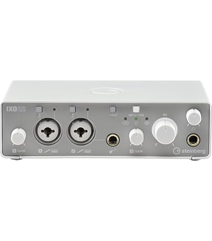 Amazon.com: Steinberg UR22C Recording Pack With Mic
