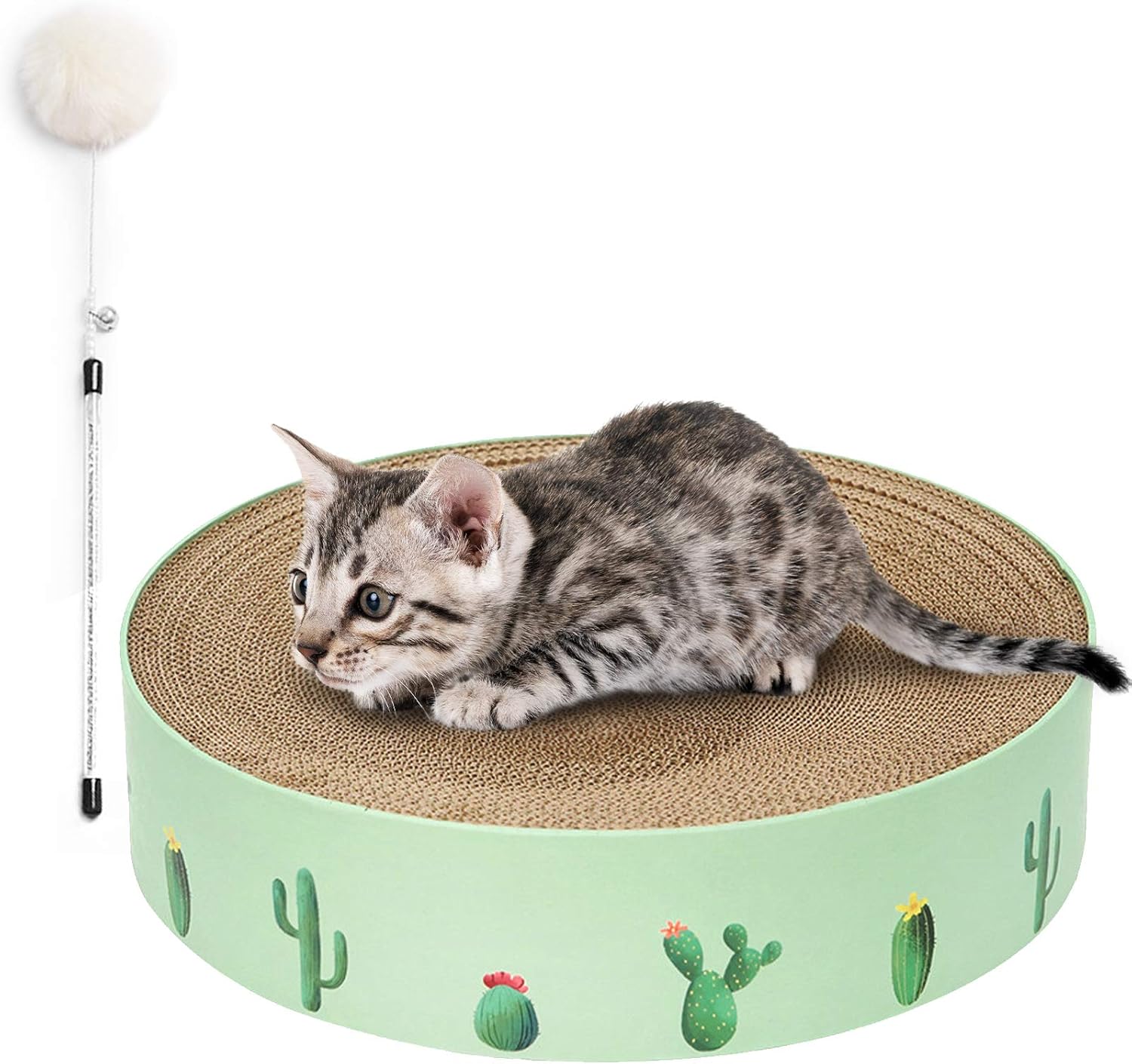 cat scratching bowl