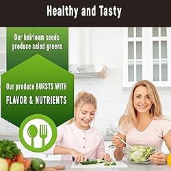 apoloseedic Salad Greens Seed Pod Kit for