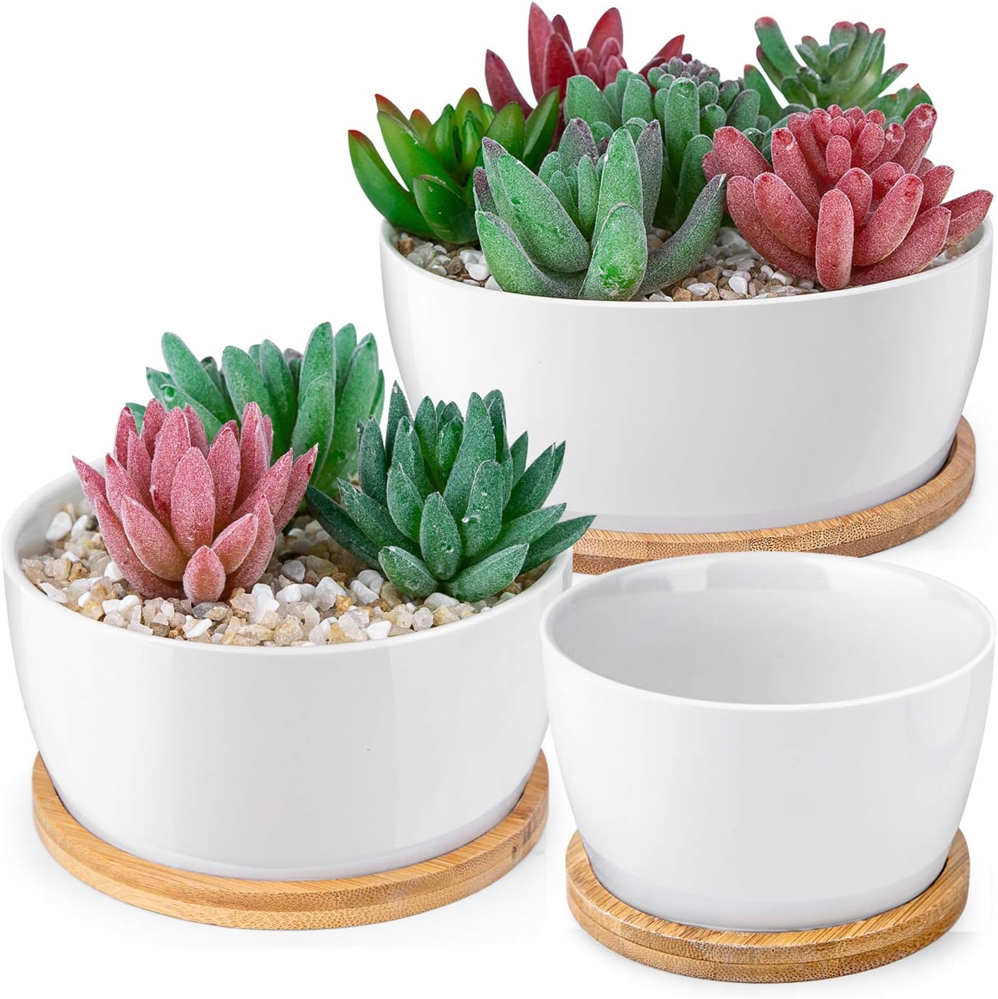 The 15 Best Pots for Succulents of 2023 Best Garden Tips