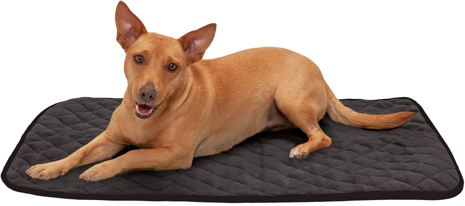 thermal dog blanket