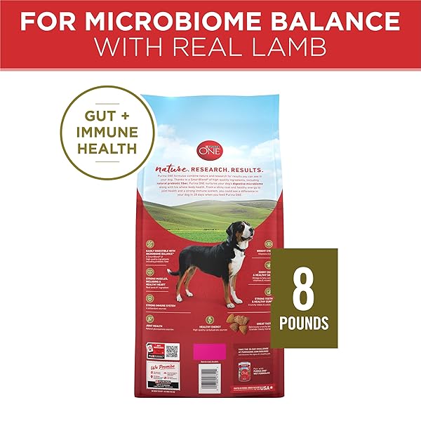 PURINA ONE DRY DOG FOOD LAMB AND RICE FORMULA – 8 LB. BAG
