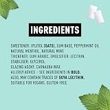 Peppersmith Peppermint Chewing Gum Sugar Free 220 Pieces Xylitol Vegan view 2