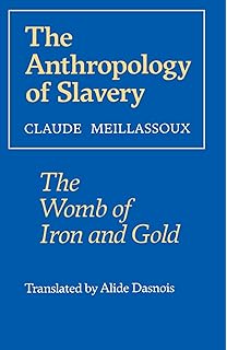 Byzantine Slavery And The Mediterranean World Youval Rotman - 