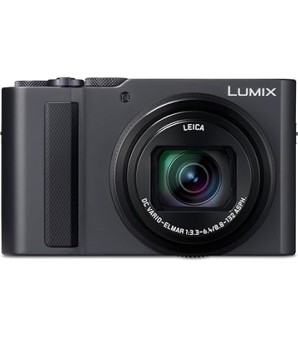 Amazon.com : Panasonic LUMIX ZS100 4K Digital Camera, 20.1