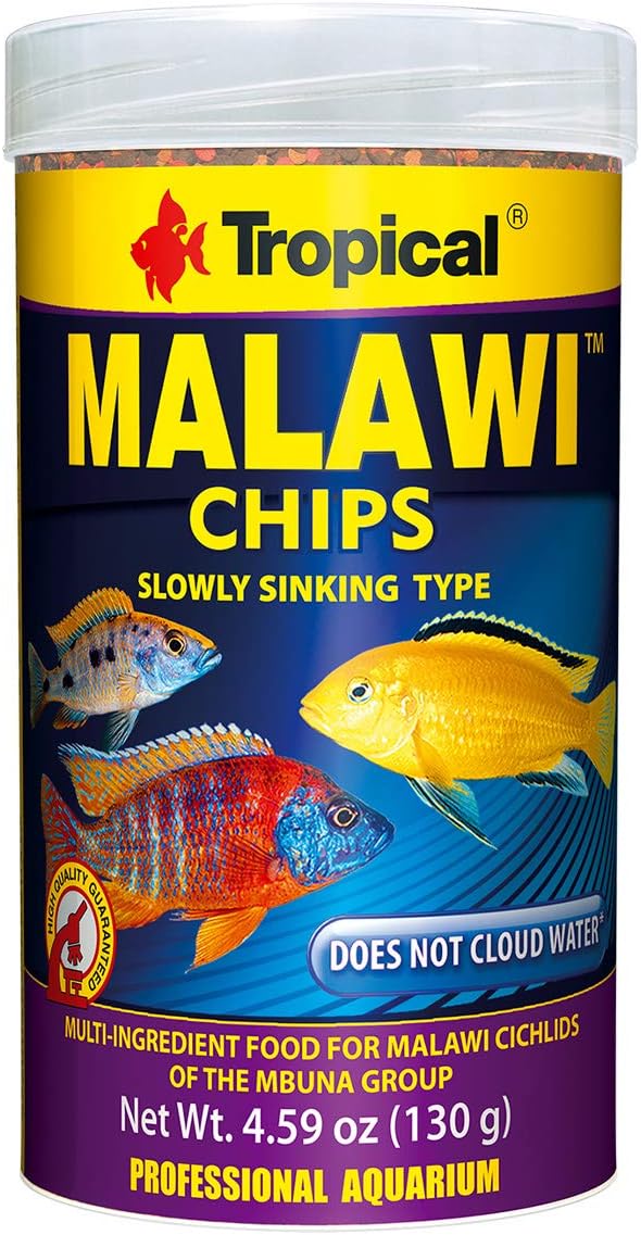 tropical malawi fish