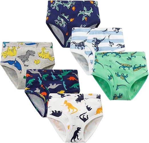 YoungSoul Boys Cotton Briefs Kids Dinosaur Underwear for Toddlers 6