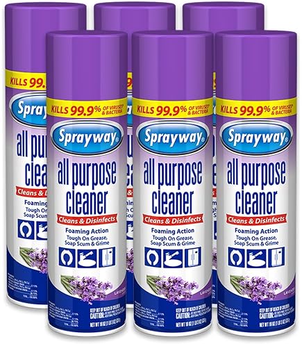 Amazon.com: Sprayway SW985-12PK Orange Citrus Crazy Clean, 19oz