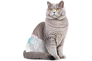 YPFYED Disposable Cat Diapers, 40 Count – Perfect for Both Male and Female Cats, for Elderly, (M) Incontinent, or Post-Surgery Cats and Dog – Leak-Proof, Super Absorbent & Hypoallergenic Pet Diapers